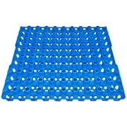 12 Rite Farm Products 90 Egg Plastic Trays Quail Pigeon Dove Bird Flat Carton