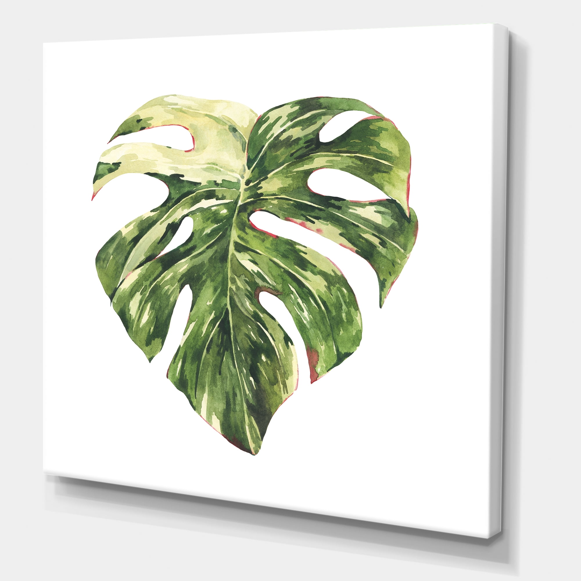 Tropical Green Leaves On White In Summer Times III 30 in x 30 in Painting Canvas Art Print, by Designart