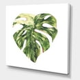 thumbnail image 3 of Tropical Green Leaves On White In Summer Times III 36 in x 36 in Painting Canvas Art Print, by Designart, 3 of 4