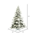 thumbnail image 3 of Vickerman 6.5' Flocked Utica Fir Artificial Christmas Tree, Unlit, 3 of 5