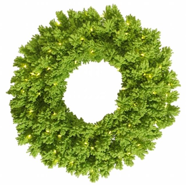 Vickerman K128631 Couronne de Lime Floquée 30 Po. 70Lm 180T