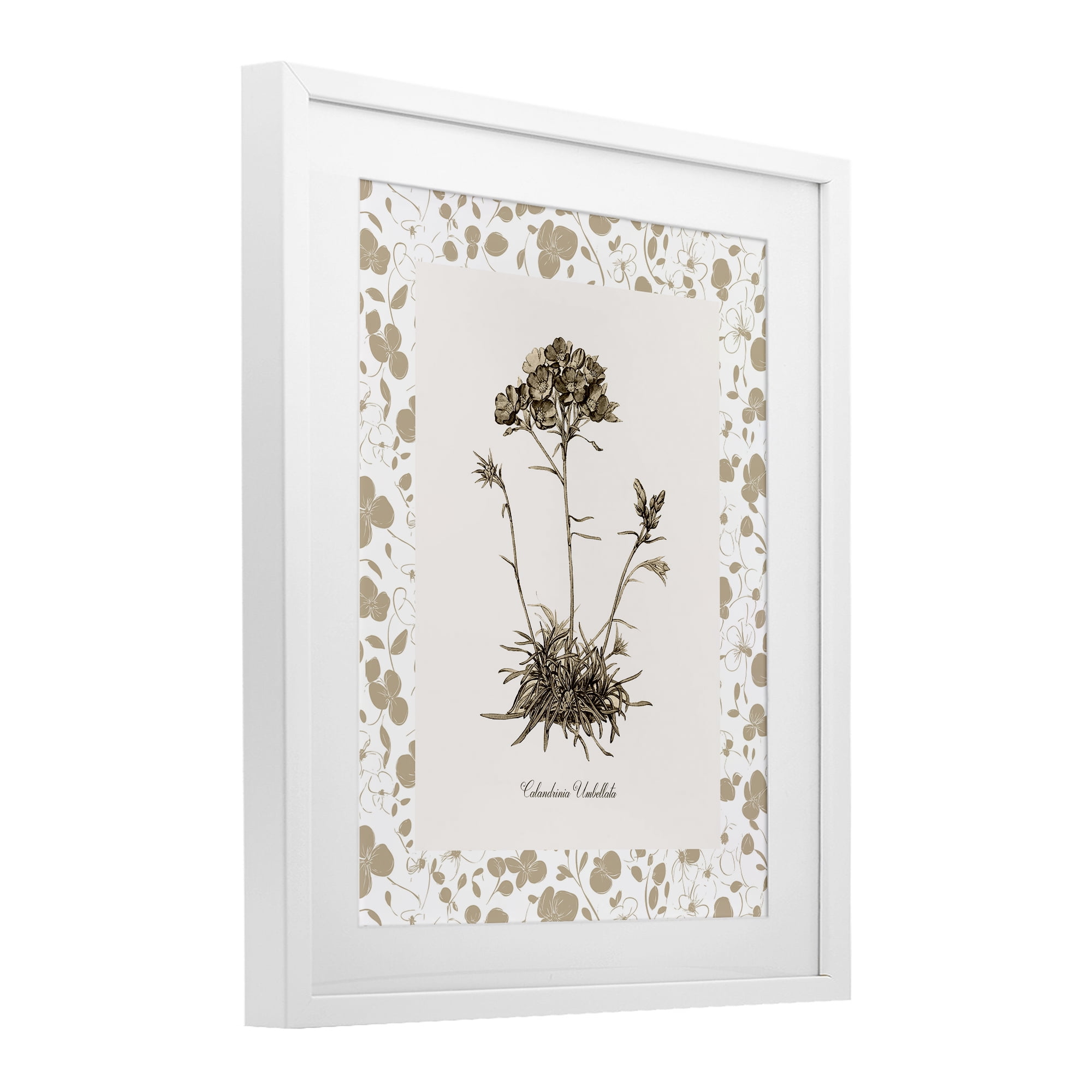 Stupell Industries Neutral Imperial Flower & Herb White Framed Print Under Glass, design by Kelly Donovan