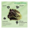 thumbnail image 4 of Lechuga morada por pieza, 4 of 4