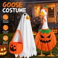 thumbnail image 2 of Halloween Porch Pumpkin Goose Outfit, 23 Fall Thanksgiving Clothes, 2 of 10