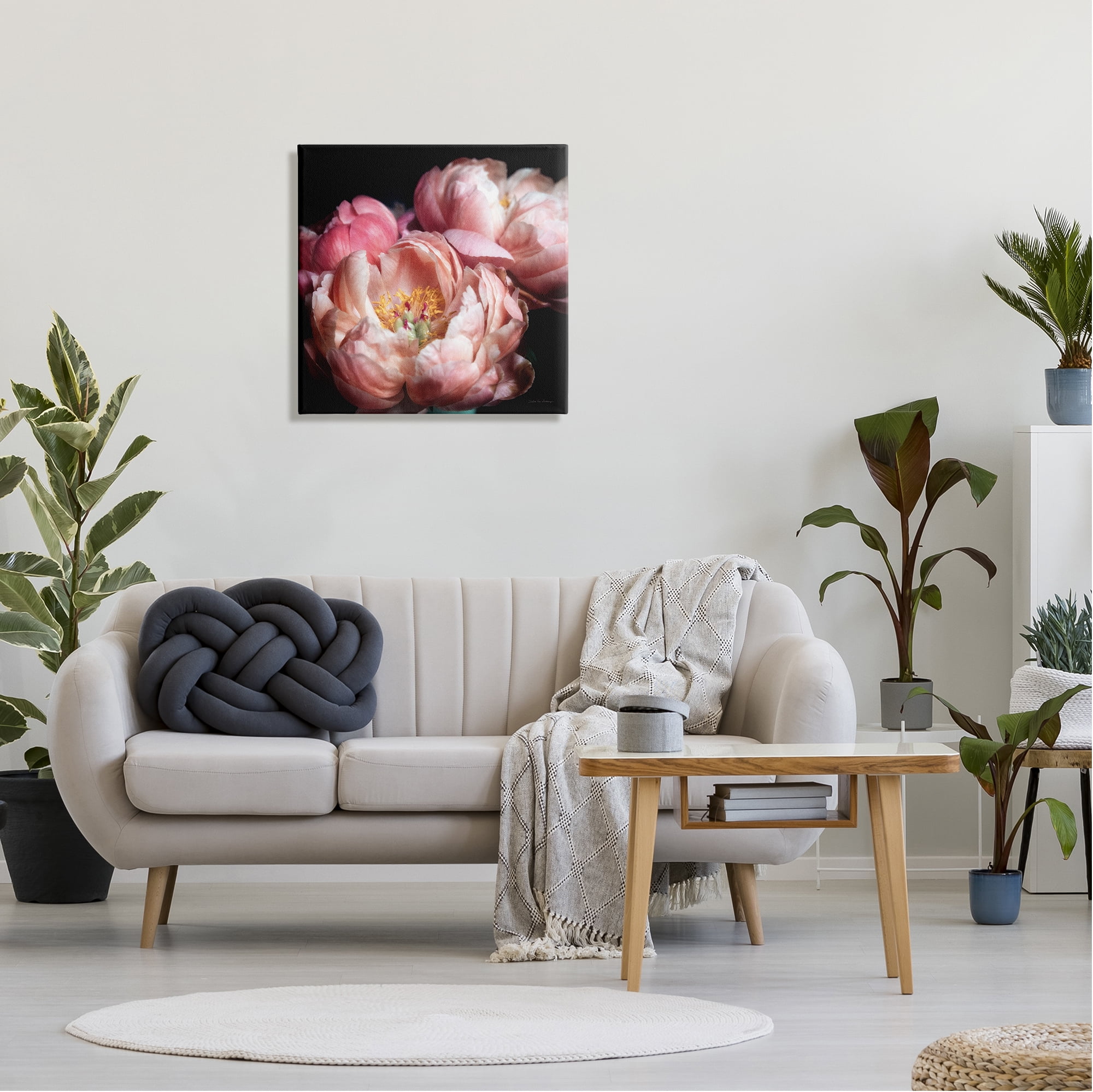 Stupell Industries Blooming Peony Photography Botanical & Floral Photography Gallery Wrapped Canvas Art Print Wall Art, 24 x 24