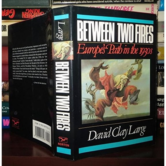 Pre-Owned Between Two Fires: Europe's Path in the 1930's (Hardcover) 0393027511 9780393027518