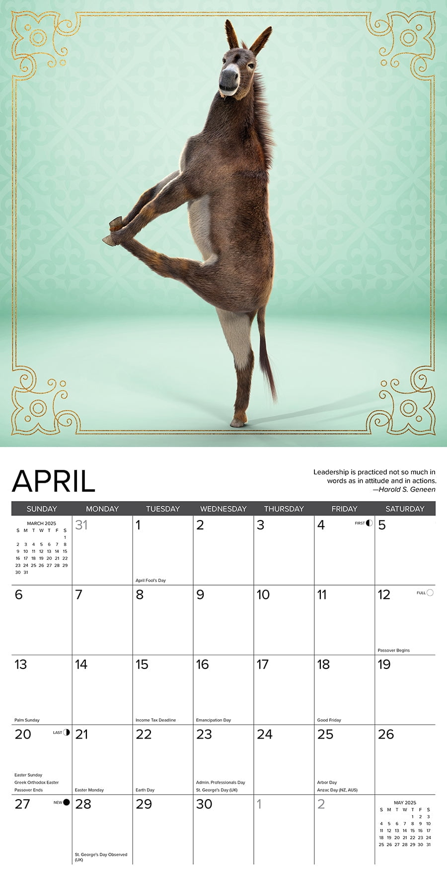 Jackass Yoga 2025 Wall Calendar - Walmart.com