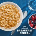 thumbnail image 3 of Kellogg's Special K Breakfast Cereal Cup, 11 Vitamins and Minerals, Made with Folic Acid, B Vitamins and Iron, Original, 1.25oz Cup (1 Cup), 3 of 13