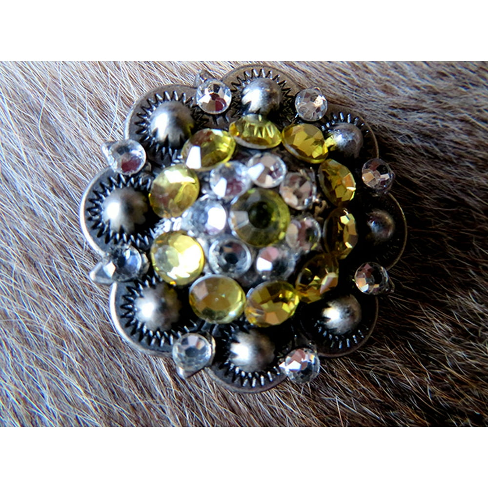 4 Conchos Rhinestone Bling Horse Saddle Bridle Tack Western Berry