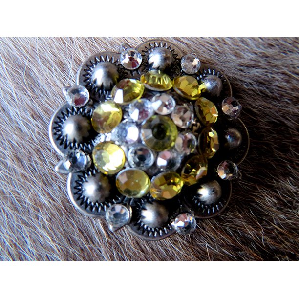 4 Conchos Rhinestone Bling Horse Saddle Bridle Tack Western Berry