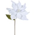 thumbnail image 1 of Fleur de Poinsettia Blanche, 22 & 12 Po., 1 of 1