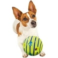 thumbnail image 4 of The Sound Ball For Dogs - As Seen On Tv, 4 of 7