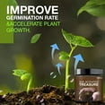 thumbnail image 4 of Bilqis Mycorrhizal Fungi Rooting Powder, More Potent Than Rooting Hormone for Cuttings | Enhanced Formula for Bigger Roots | Treats Upto 100 Plants, 4 of 8
