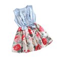 thumbnail image 2 of Liquidation d'Économies d'Hiver! PEZHADA Robes d'Invitée de Mariage d'Automne, Robe pour Tout-Petite Fille, Robes de Fête Princesse Sans Manches à Imprimé Nœud pour Tout-Petits Enfants Bébés Filles, 2 of 5