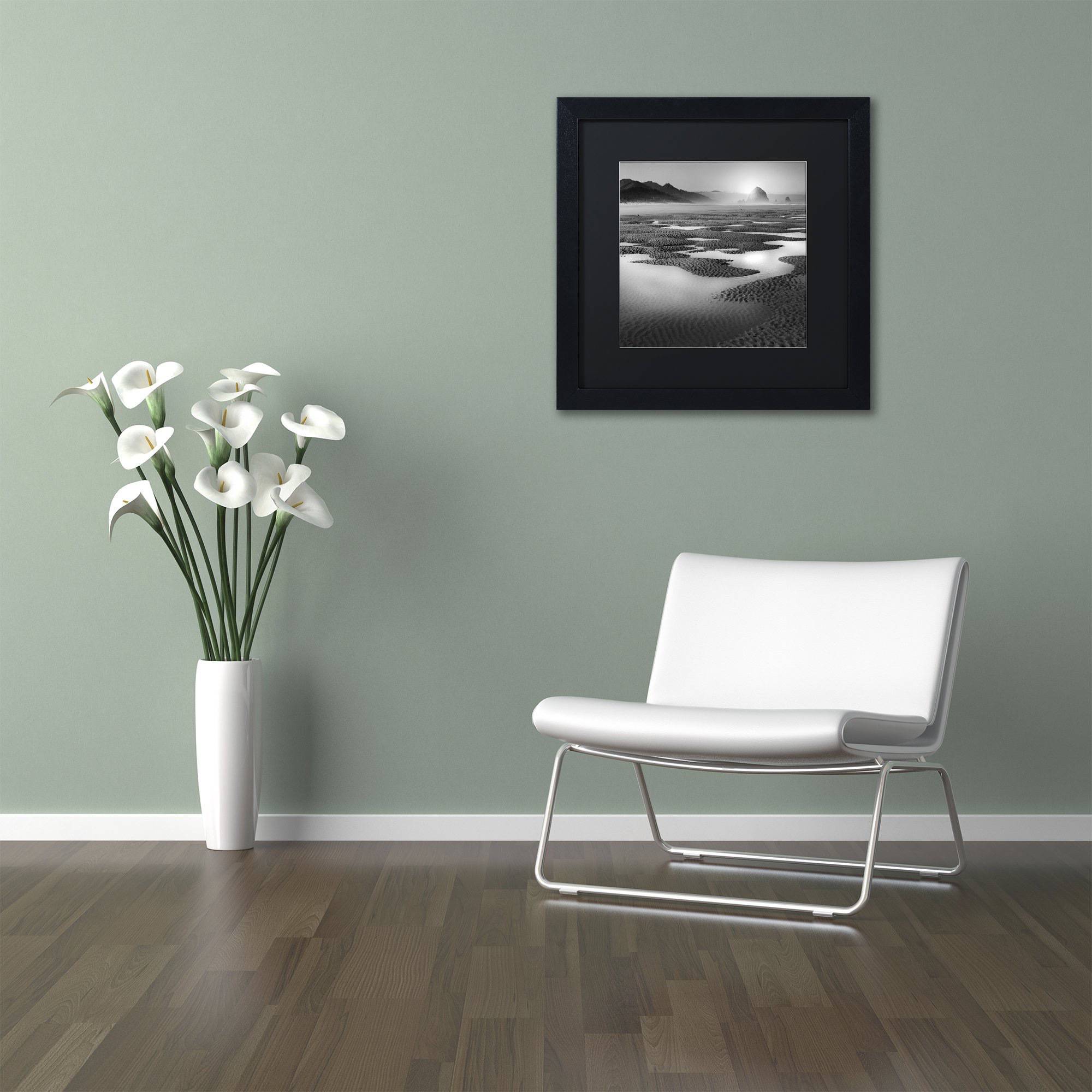 Trademark Fine Art "Path" Canvas Art by Moises Levy Black Matte, Black Frame