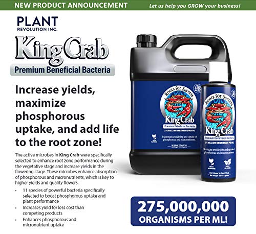Plant Success King Crab 32 Oz Walmart Com