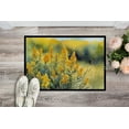 thumbnail image 2 of Carolines Treasures DAC1681JMAT 24 x 36 in. Unisex Nebraska Goldenrod in Watercolor Indoor or Outdoor Mat, 2 of 5