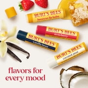 (3 pack) Burt's Bees 100% Natural Origin Moisturizing Lip Balm with Beeswax, Vanilla Bean, 1 Tube
