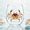 Crab, variant on Artisanal Humpback Turtle Glassware, 3D Turtle Stemless Glasses, Handcrafted Marine Animal Bar Glass
