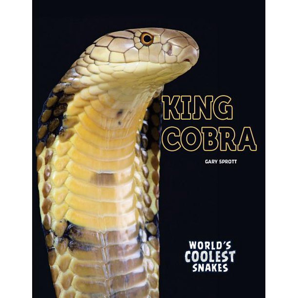 King Cobra - Walmart.com - Walmart.com