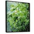 thumbnail image 2 of Designart "Zenith Of Serenity: Japanese Bamboo I" Japan Art Floater Framed Canvas Prints, 2 of 5