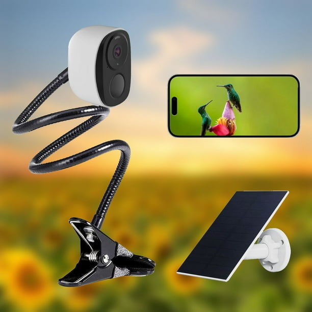 Cámara para pájaros con alimentación solar, visión nocturna, grabación automática de vídeo y detección de movimiento, IP66, para decoración del hogar, habitaciones y paredes.