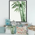 thumbnail image 2 of Designart 'Palm Bamboo Detail On White II' Traditional Framed Canvas Wall Art Print, 2 of 5