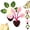 Style-a+b, variant on Magnetic Chip Clips Tree Leaf Shaped Bag Clips, Strong Magnetic Kitchen Organizer with Decorative Leaf Design for Food Storage, Fridge, Office and Home Use