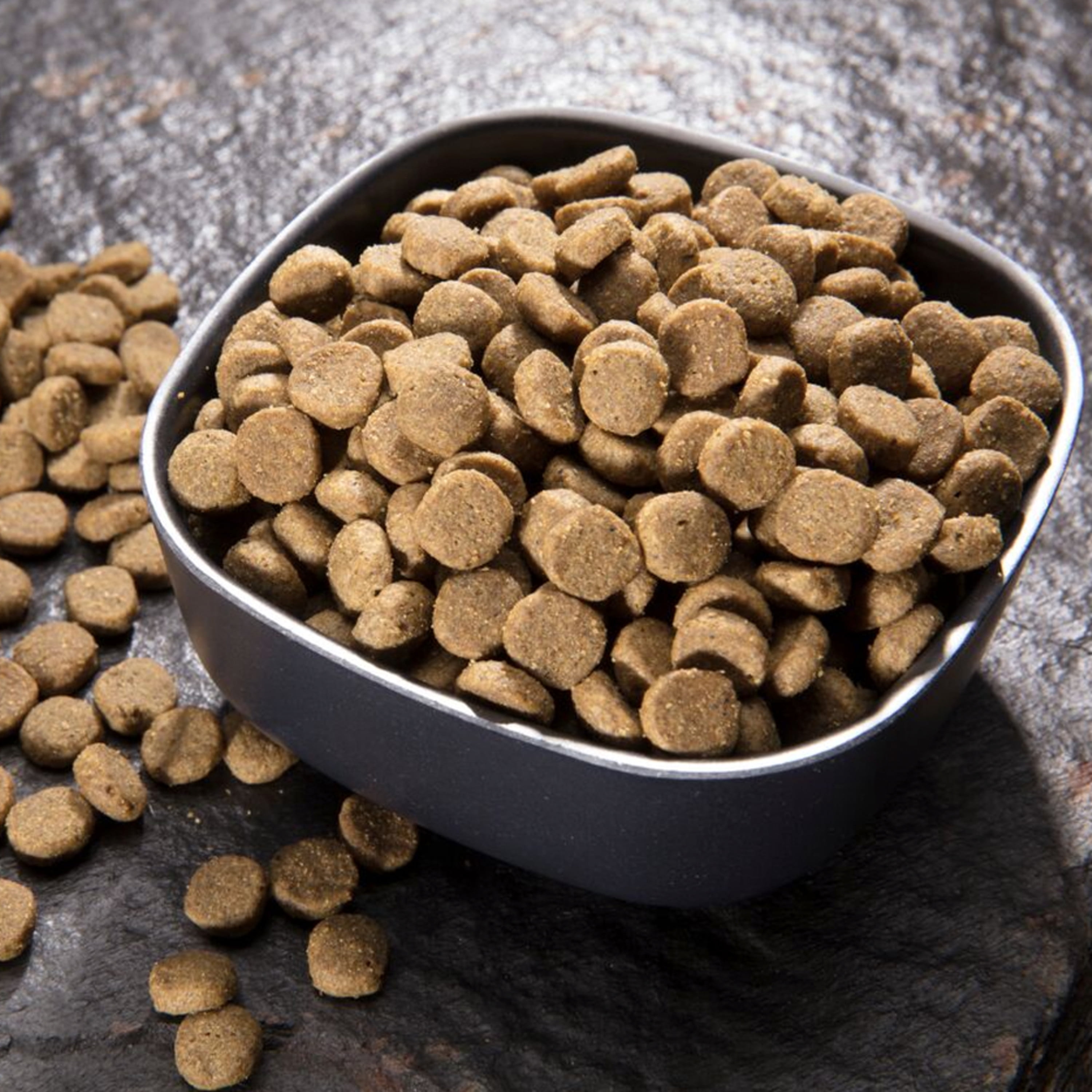 crave indoor cat food