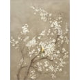 thumbnail image 4 of Art.com White Cherry Blossom I Neutral Crop Bird Stretched Canvas Print Wall Art by Danhui Nai, 12" x 16", 4 of 4