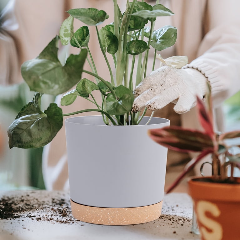 QCQHDU 6.5-Inch Plant Pots with Drainage, Set of 2 photo 4