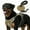 Khaki, variant on PcEoTllar Dog Harness and Leash Combo, Escape Proof No Pull Vest Harness, with Reflective Leash, Adjustable Pet Harness with Handle for Medium Dogs, Black M
