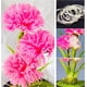 thumbnail image 4 of Flores de Clavel Artificiales en Cúpula de Vidrio con Luz LED, 4 of 6