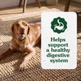 thumbnail image 5 of Greenies Supplements Chicken Flavor Digestive Health With Probiotics for Dogs, 7.76 oz Pouch, 5 of 12