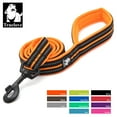 thumbnail image 2 of Truelove Soft Pet Leash Reflective Nylon Mesh Padded Puppy Large Dog or Cat Walking Training 11 Color 200cm TLL2112 Dropshipping, 2 of 10