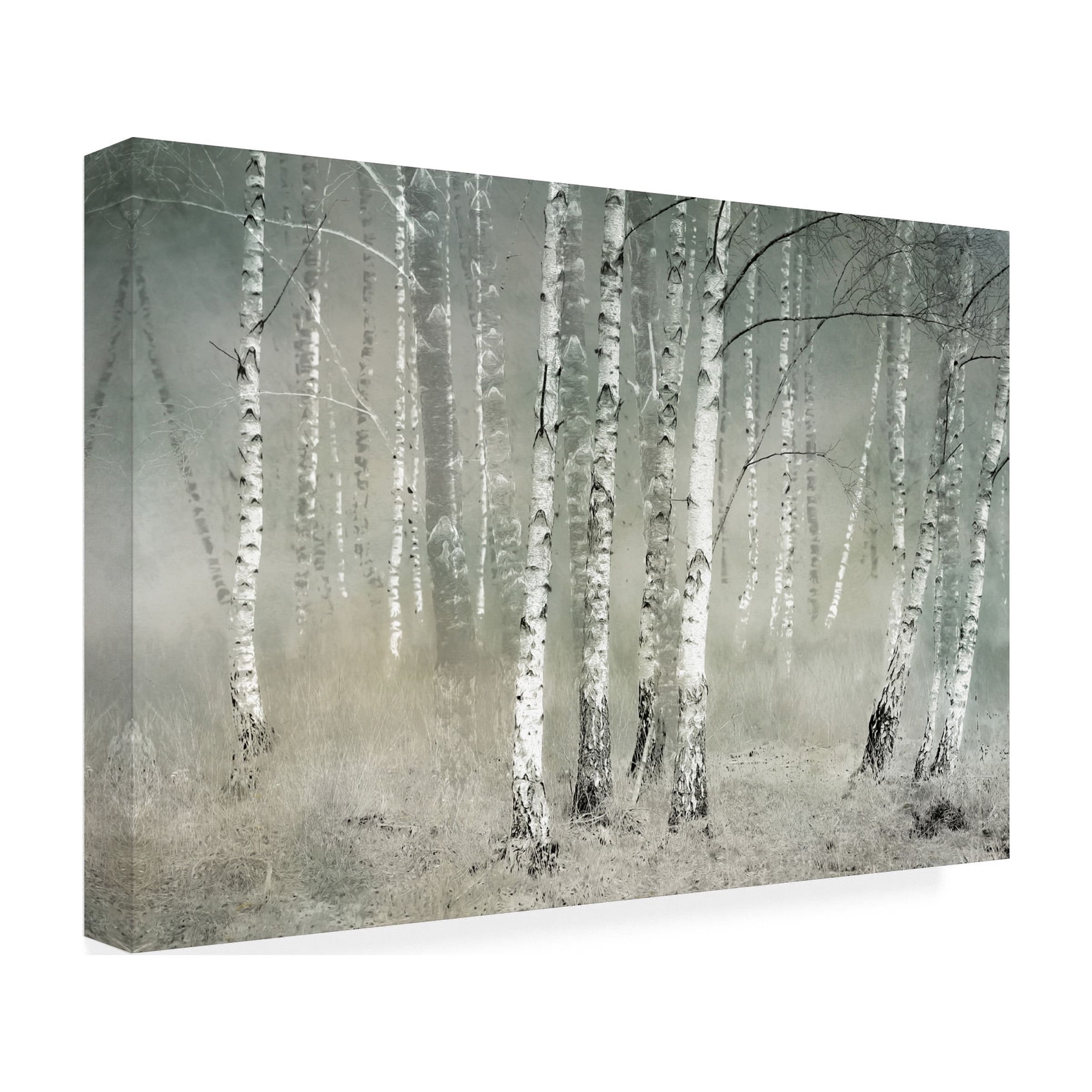 Canvas Wall Art - Nel Talen 'Morning Silence' Wall Art for Living Room, Bedroom, or Office DÃ©cor by Trademark Fine Art - 19 x 12 Inches