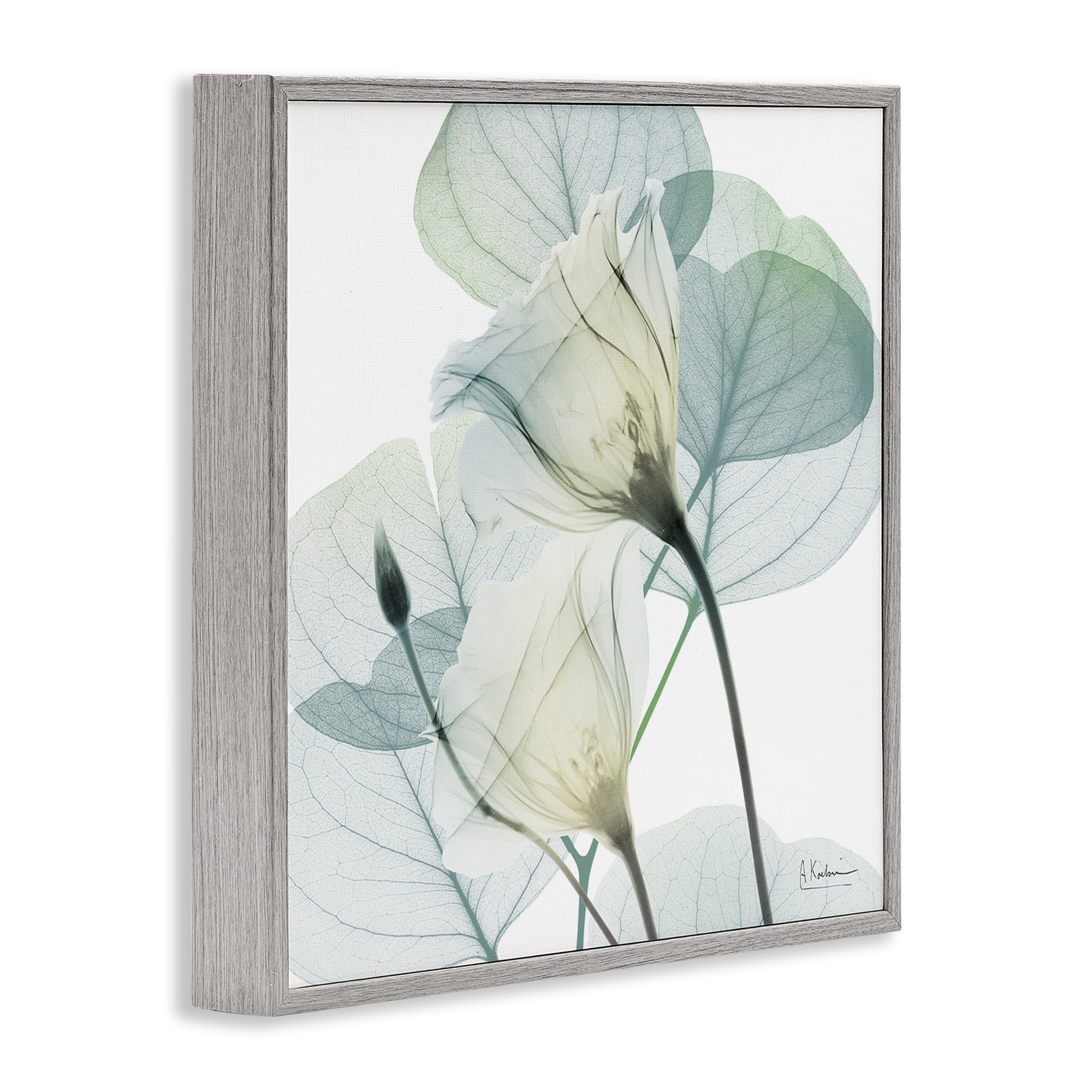 Stupell Industries Divine Fate Petals Gray Framed Giclee Art, design by Albert Koetsier