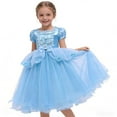 thumbnail image 3 of Avrntaa Princess Dress for Little Girls Floral Trim Tulle Dresses Birthday Party Ball Gown for 3-12Y, 3 of 7