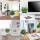 thumbnail image 4 of 3 Pack Fake Plants in Pots Artificial Eucalyptus Plant Mini Potted Faux Plants Indoor Small Plastic, 4 of 5