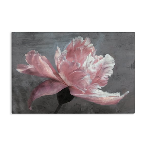 Stupell Industries Flared Flower Petals Canvas Wall Art design by Shirley G., 16 x 24