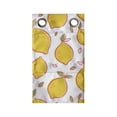 thumbnail image 1 of Lemons Hanging Pocket Organizer, Energetic Vibrant Colors Summer Citrus Fruits Blossom Print, Printed Polyester Storage Bag with Pockets, 9" x 16", Earth Yellow Lime Green, 1 of 2