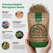 Organo Republic 50,000+ Radish Sprouting & Microgreens Seeds 1lb, Non-GMO Heirloom Sprout Seeds Kit