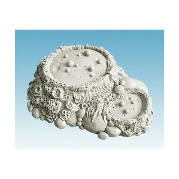 Spellcrow Tathea Organic Swamp v.2 New