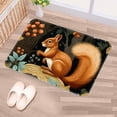 thumbnail image 5 of Squirrel Polyester Outdoor Carpet Game Mat Floor Mats: Non-Slip & Machine Washable, 5 of 6