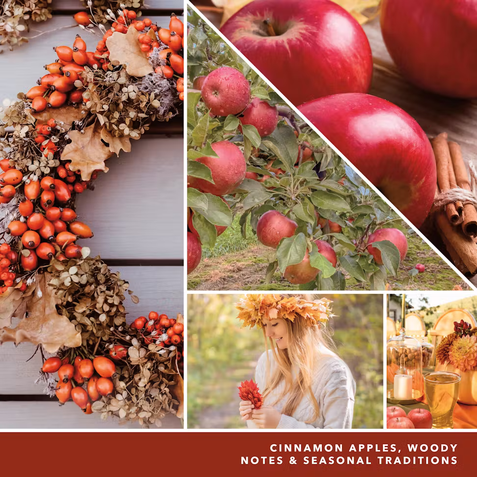 thumbnail image 4 of Yankee Candle AUTUMN WREATH Small Signature Tumbler Candle 4.3oz - Fall Spice & Apple Notes, 4 of 4