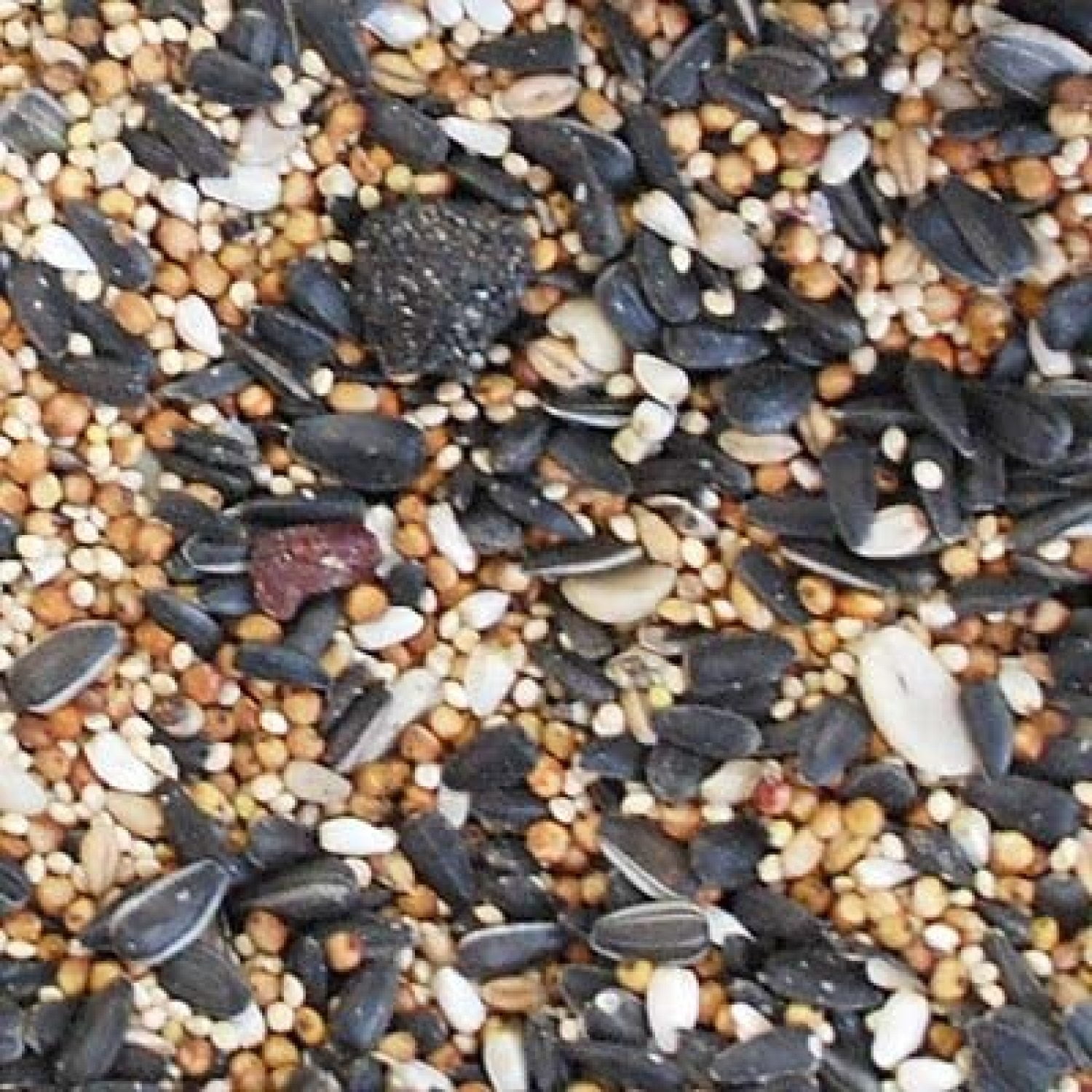 Wild Bird Seed Mix, Deluxe Blend with Fruit, 50 lbs., Mix of seeds, nuts, and fruit provides