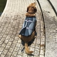 thumbnail image 2 of Chaleco salvavidas para perros Chaleco de traje de baño de tiburón para mascotas Ropa de se Tomshoo  Gris,XS, 2 of 7