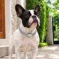thumbnail image 5 of Pink Dog Chain Necklace with Diamond, Bling Cuban Link Puppy Collars Glitter Rhinestone Cat Jewelry for Small Medium Large Pet Dogs, 8-Inch, 5 of 8