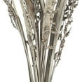thumbnail image 3 of Vickerman 36" White Wash Bahia Spears with Seeds, 2 pack, Dried, 3 of 5