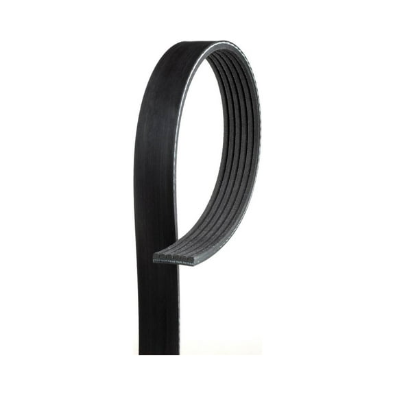 Gates 6PK1856 Serpentine Belt Fits select: 2000-2002 AUDI S4, 2000-2004 AUDI A6